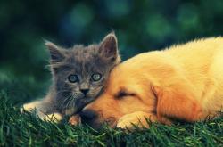 开云体育APP下载-维尼修斯双响炮！波兰客场5-2横扫比利时，皇马球星竟成波兰尖刀？