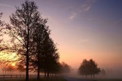 开云sport-亚洲悲喜夜，巴斯托尼扼杀悬念，厄瓜多尔击碎卡塔尔童话