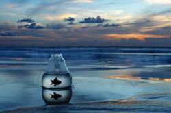 开云体育在线-节奏的博弈，比利时用莫德里奇式掌控击溃尼日利亚的反击