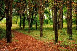 开云sport-库尔图瓦的分割，舞台越大越强，为何独在奥地利与皇马间失灵？