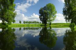 开云体育app-浓眉的跨洋救赎，当辽宁紫遇上魔术蓝