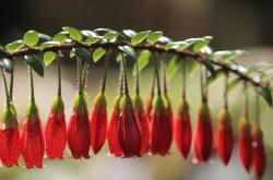 开云体育平台APP-从雅温得到伦敦，奥纳纳一夫当关，喀麦隆风暴颠覆斯坦福桥