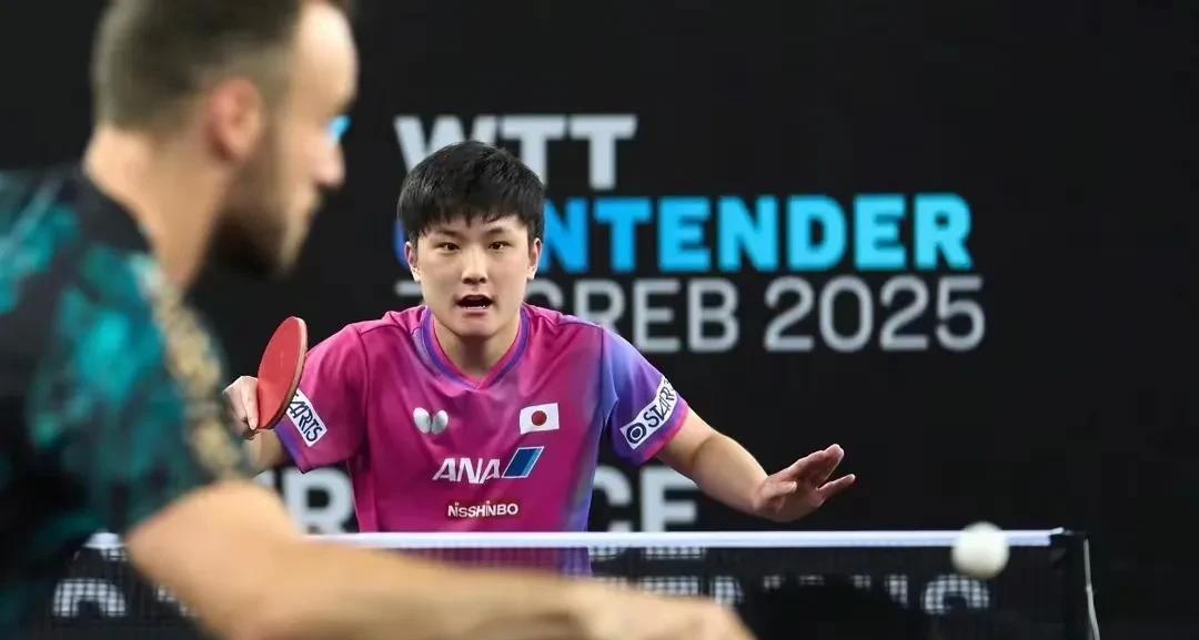 包含葡萄牙队碾压英格兰队，张本智和高光表现的词条