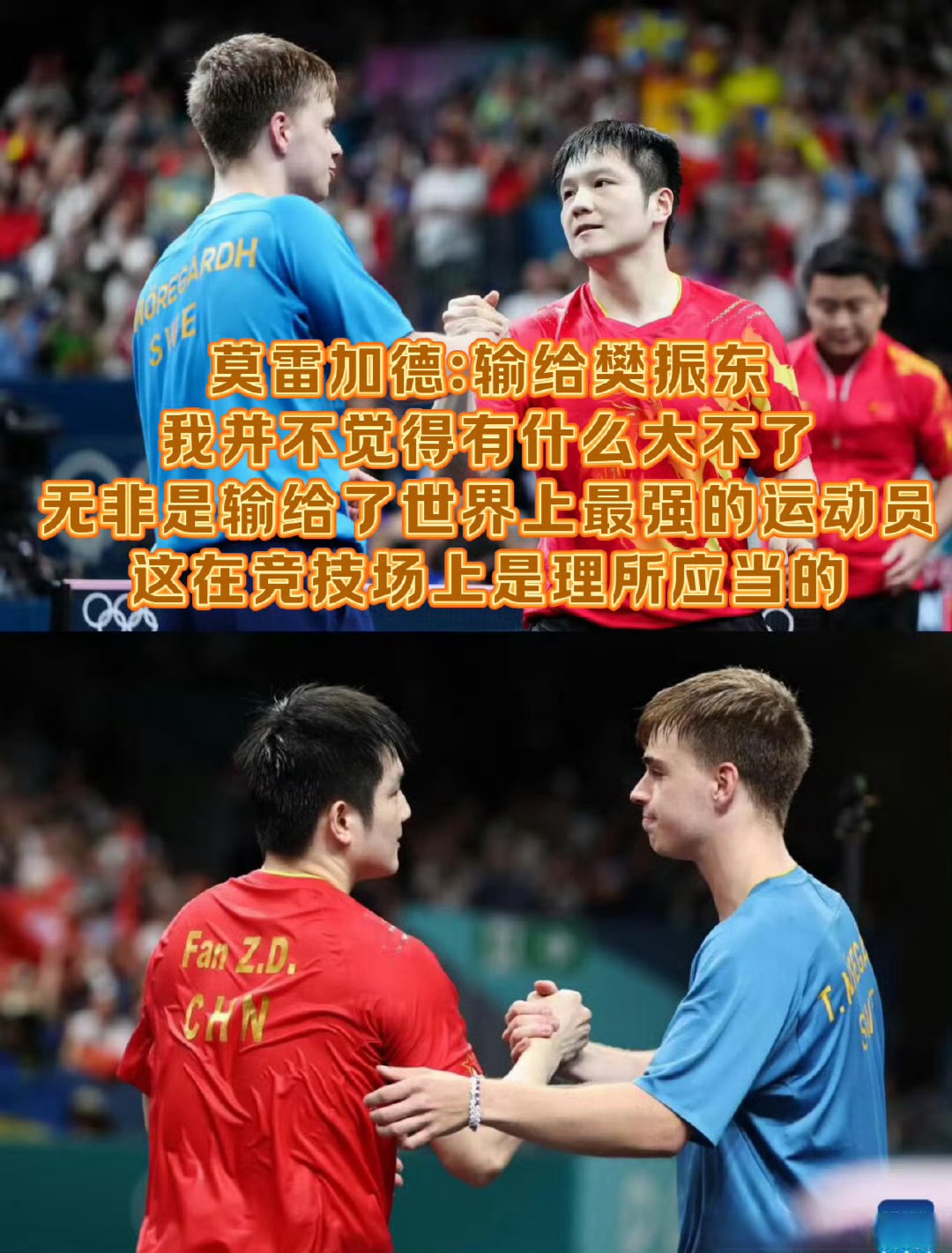 瑞典队力克韩国队，樊振东统治全场