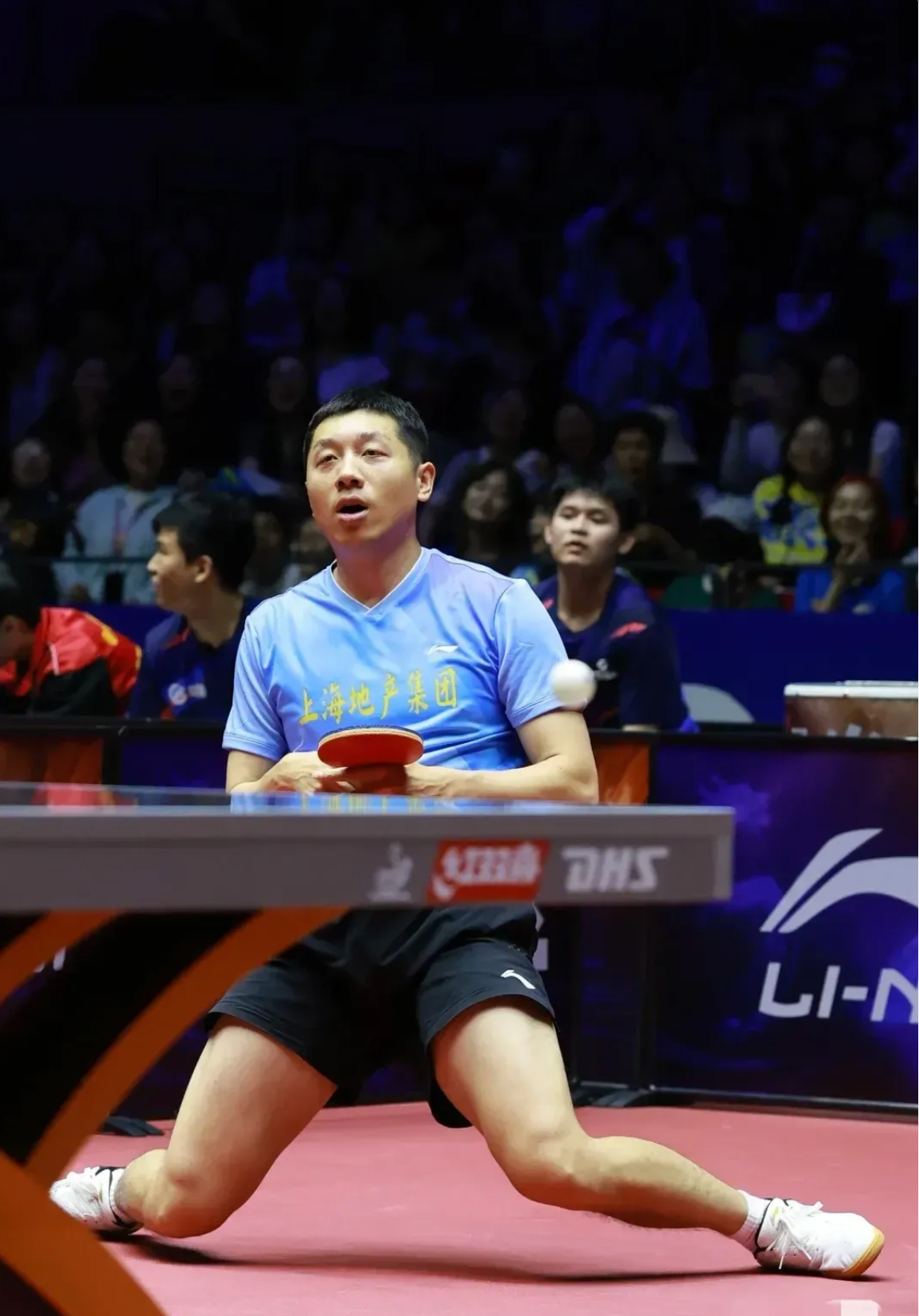 德国队力克波兰队，许昕惊艳四座