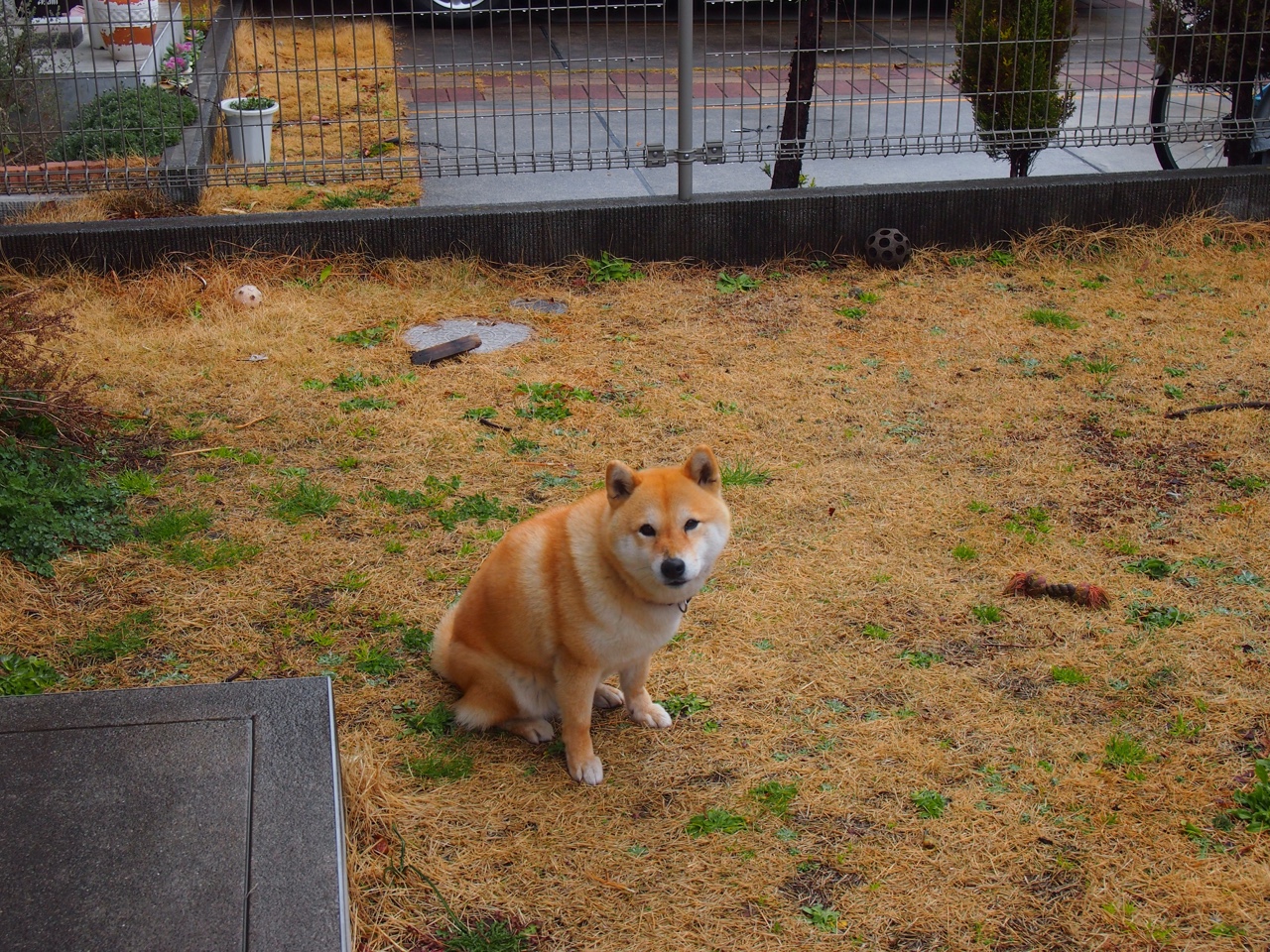 收割时刻，巨星在常规赛与抢七的本质区别