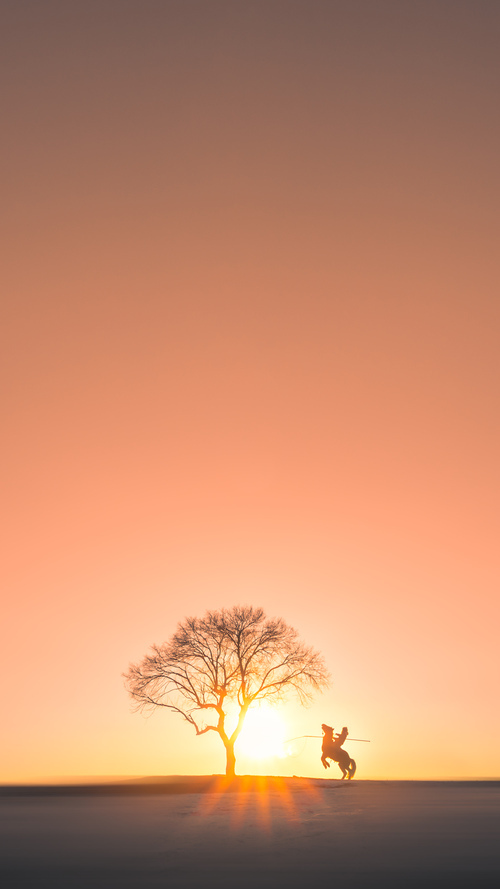 冰雪淬火，吉林东北虎奥运前夜硬撼篮网，小城韧性能否点燃国际赛场？