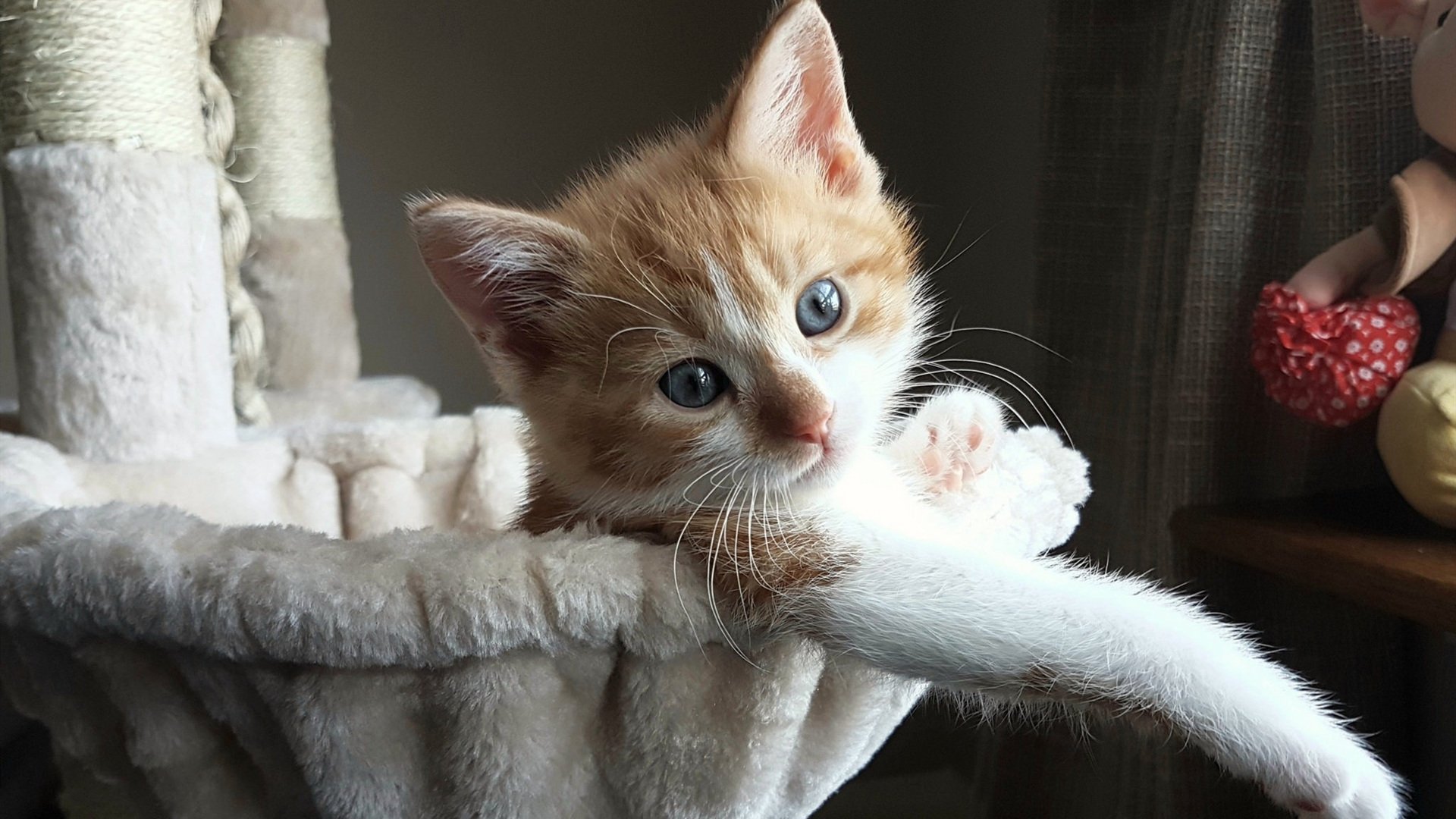 冰岛之寒与伊布之火，淘汰赛的团队凯歌与球星的个人统治