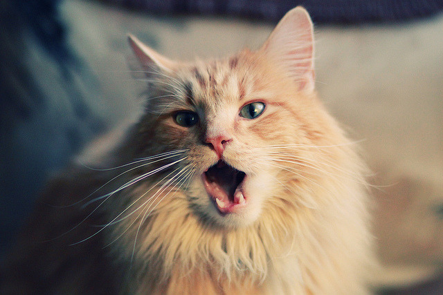 德国战车碾压冰岛,京多安主导征服之战