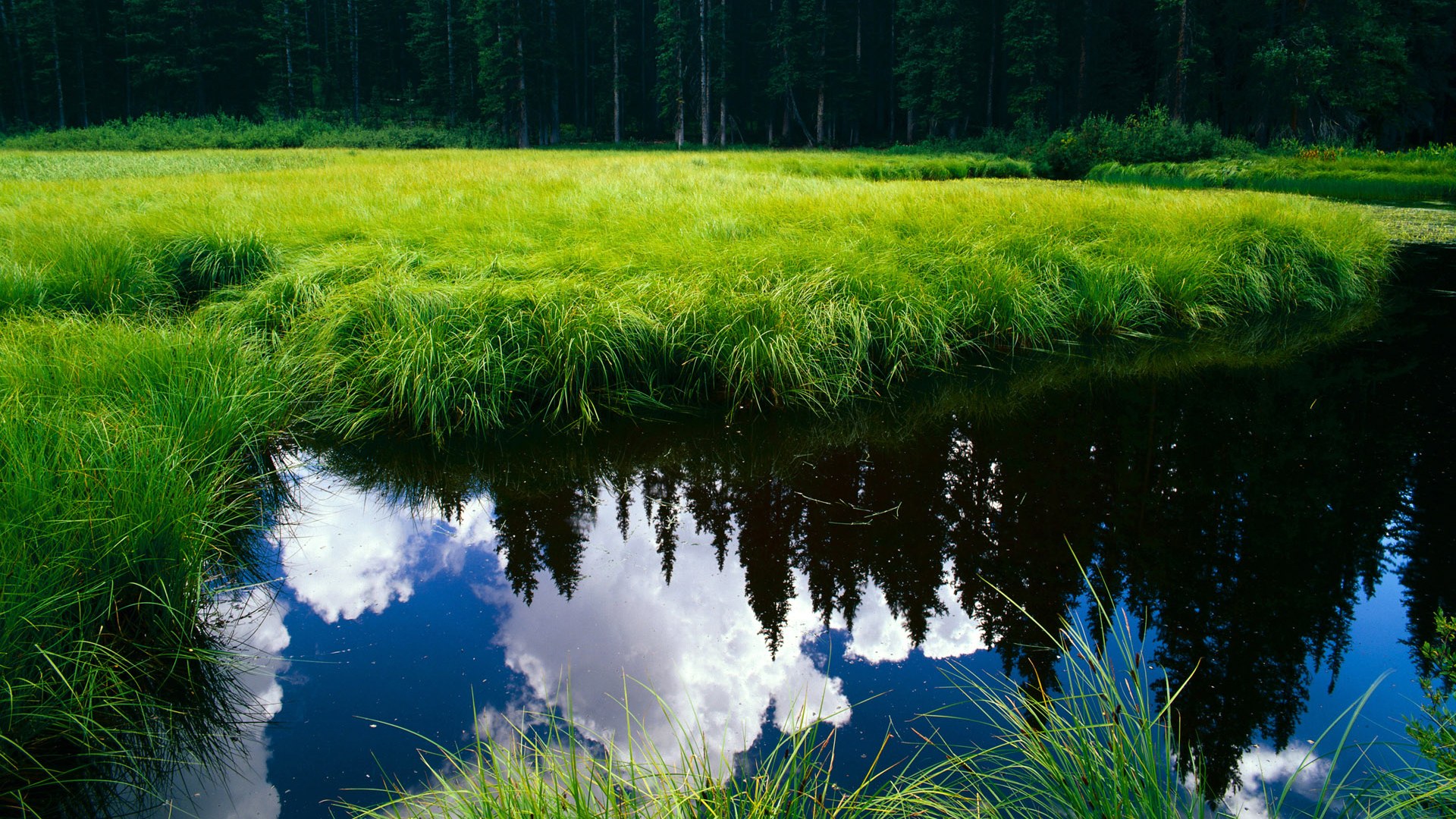 棋子叛变，当蒂亚戈的棋子在里斯本棋盘上反噬旧主