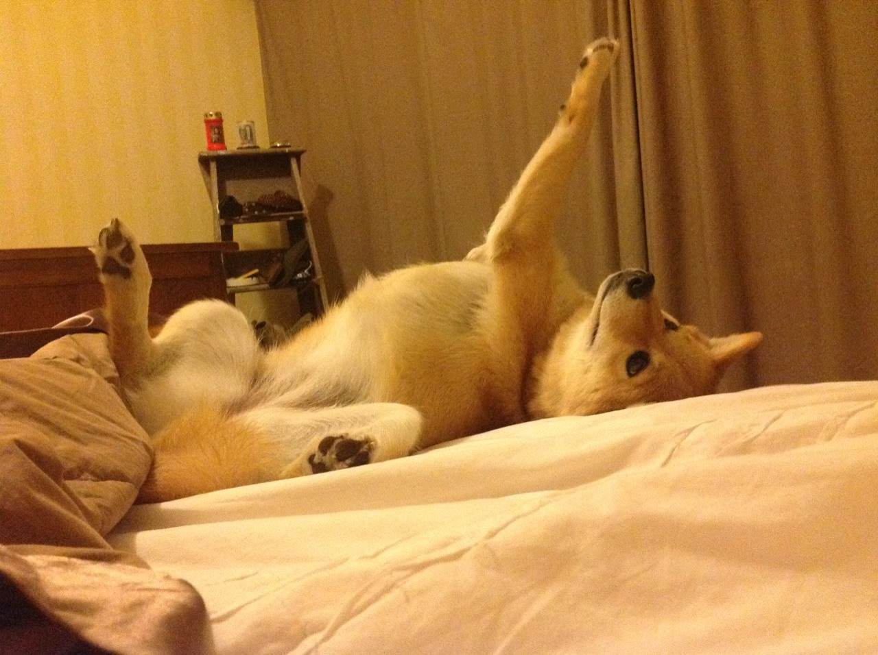 山西，或者洛杉矶，一个球馆地板上涌动的两种时空