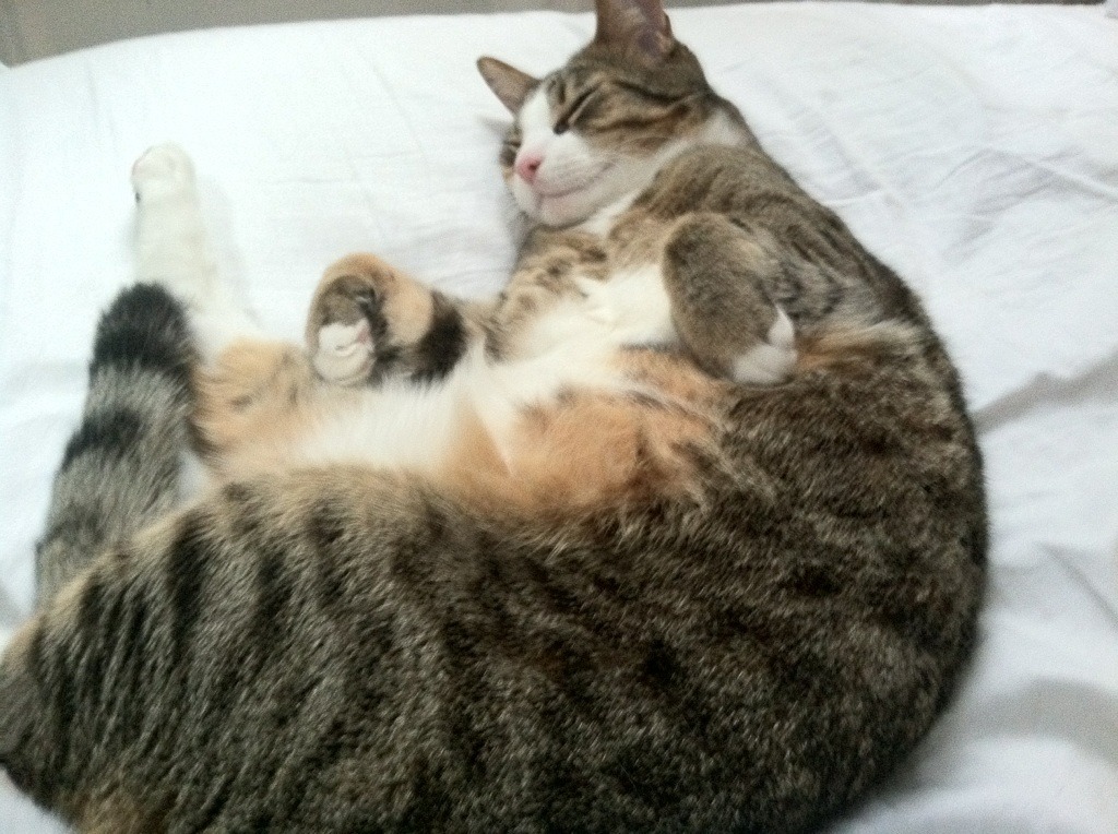 诺坎普的无声惊雷,当梅罗的光环下,升起阿圭罗的月