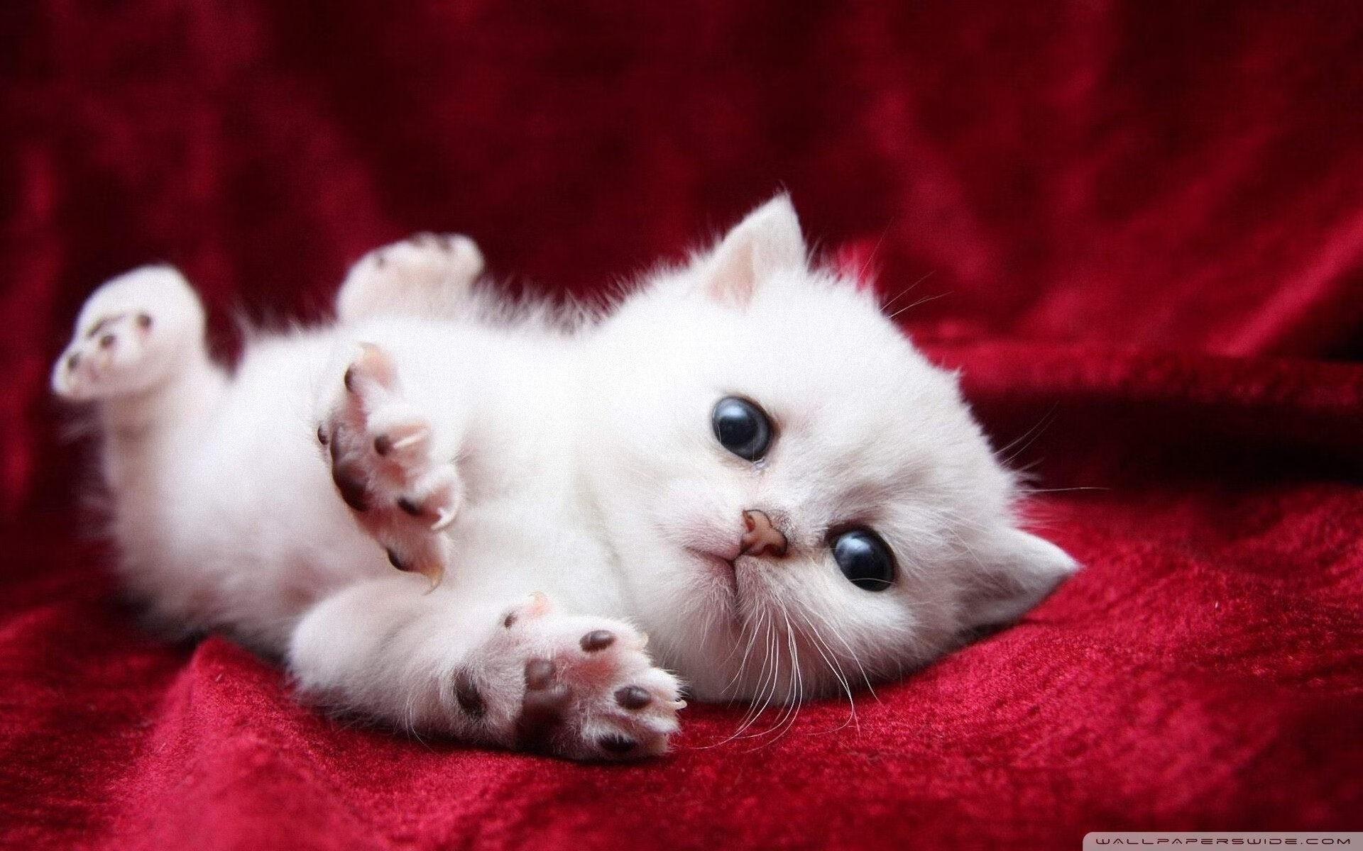 当拉文式高能输出遇见西甲国家德比，一个独一无二的足球之夜