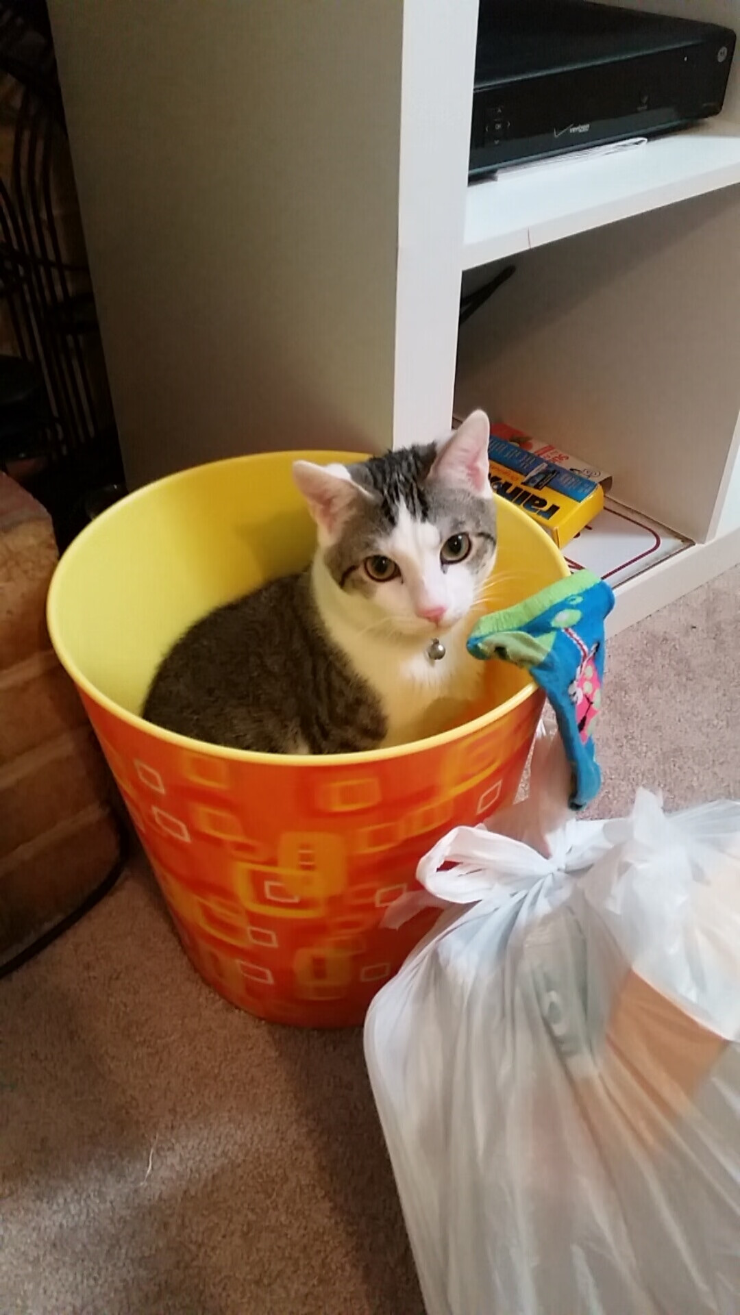 金玟哉国安连线锁死伊朗!巴萨末节致命奇招揭秘