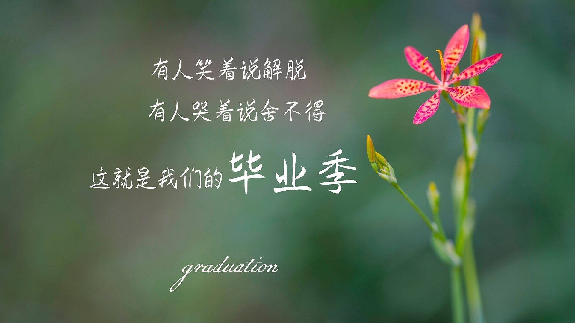 2026，命运的回响，格列兹曼的绝杀，让意大利在沙特面前重演历史