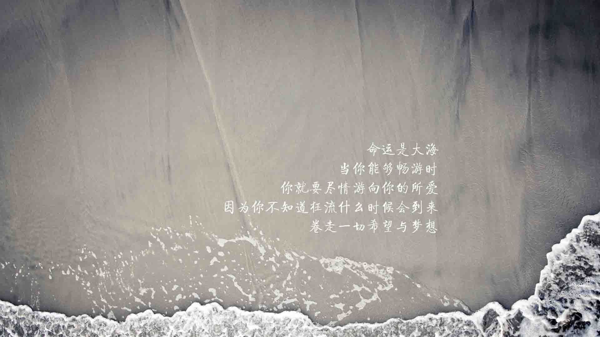唯一的光,坎塞洛的独舞,德国在2026世界杯C组关键战中碾碎喀麦隆